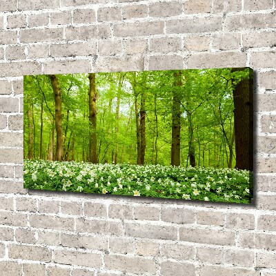 Fotocuadro en lienzo de alta calidad horizontal Flores en el bosque