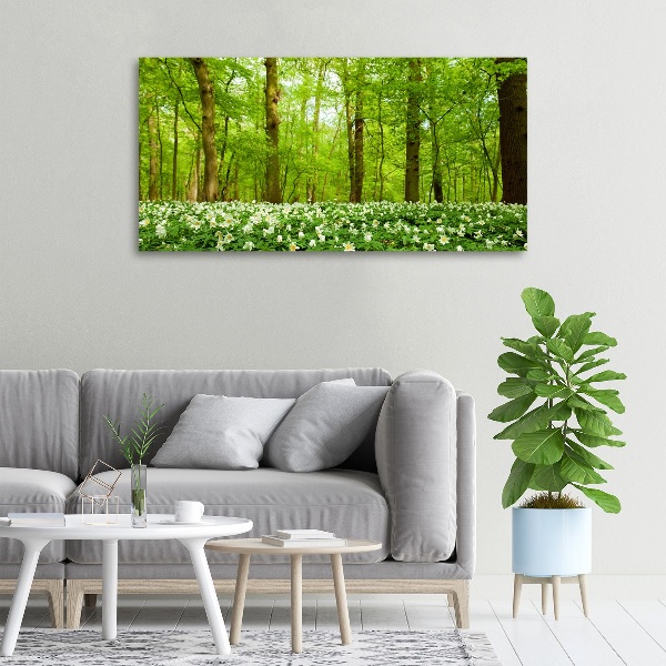 Fotocuadro en lienzo de alta calidad horizontal Flores en el bosque
