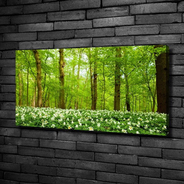 Fotocuadro en lienzo de alta calidad horizontal Flores en el bosque