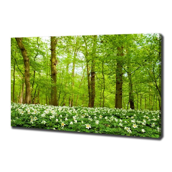 Fotocuadro en lienzo de alta calidad horizontal Flores en el bosque