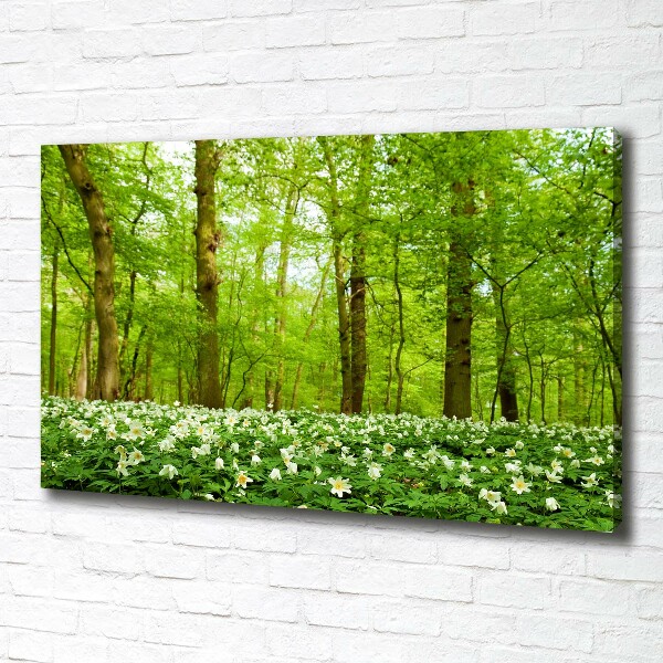 Fotocuadro en lienzo de alta calidad horizontal Flores en el bosque
