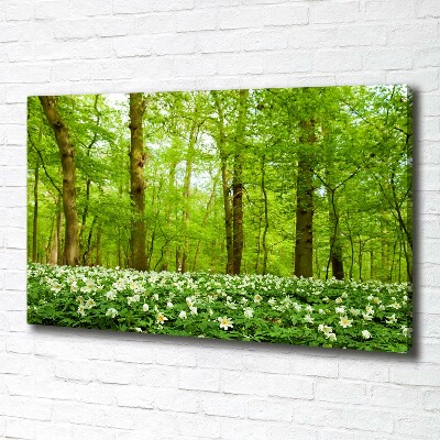 Fotocuadro en lienzo de alta calidad horizontal Flores en el bosque