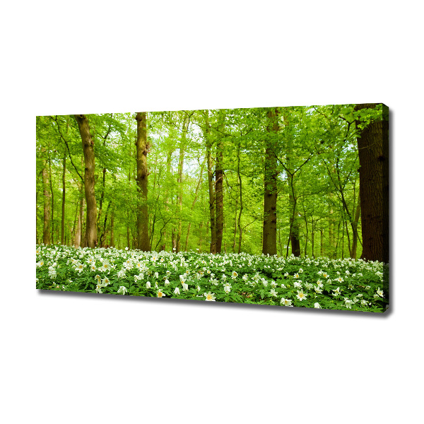 Fotocuadro en lienzo de alta calidad horizontal Flores en el bosque