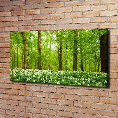 Fotocuadro en lienzo de alta calidad horizontal Flores en el bosque