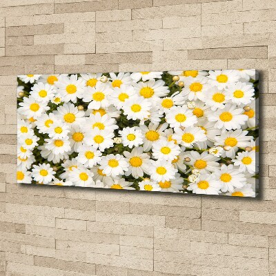 Foto en lienzo con acabado profesional horizontal margaritas