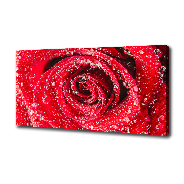 Cuadro canvas con impresión uv duradera horizontal Gotas de agua sobre una rosa