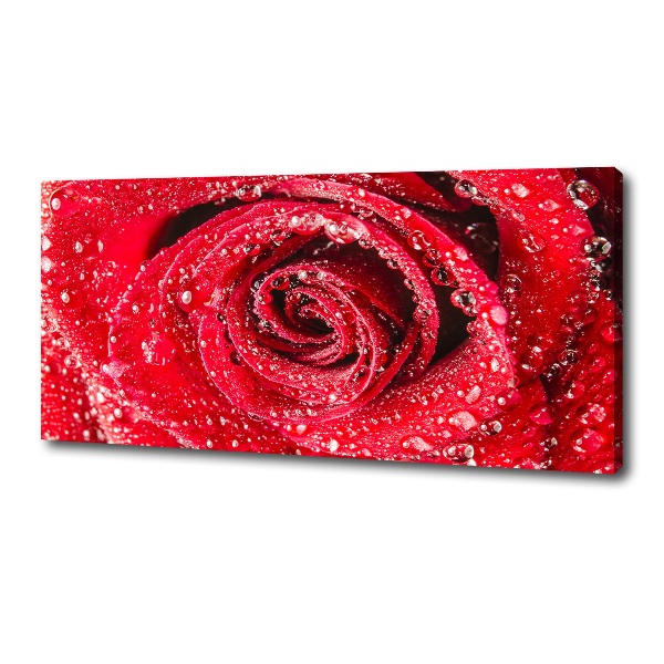 Cuadro canvas con impresión uv duradera horizontal Gotas de agua sobre una rosa