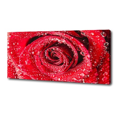 Cuadro canvas con impresión uv duradera horizontal Gotas de agua sobre una rosa