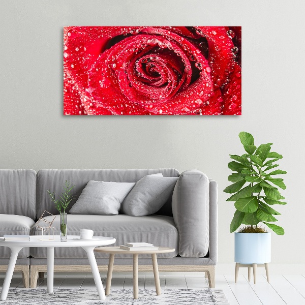Cuadro canvas con impresión uv duradera horizontal Gotas de agua sobre una rosa