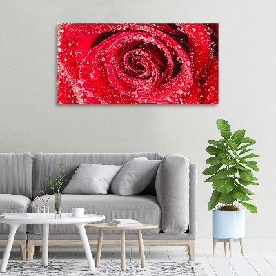 Cuadro canvas con impresión uv duradera horizontal Gotas de agua sobre una rosa
