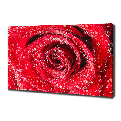Cuadro canvas con impresión uv duradera horizontal Gotas de agua sobre una rosa