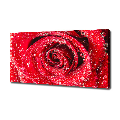 Cuadro canvas con impresión uv duradera horizontal Gotas de agua sobre una rosa