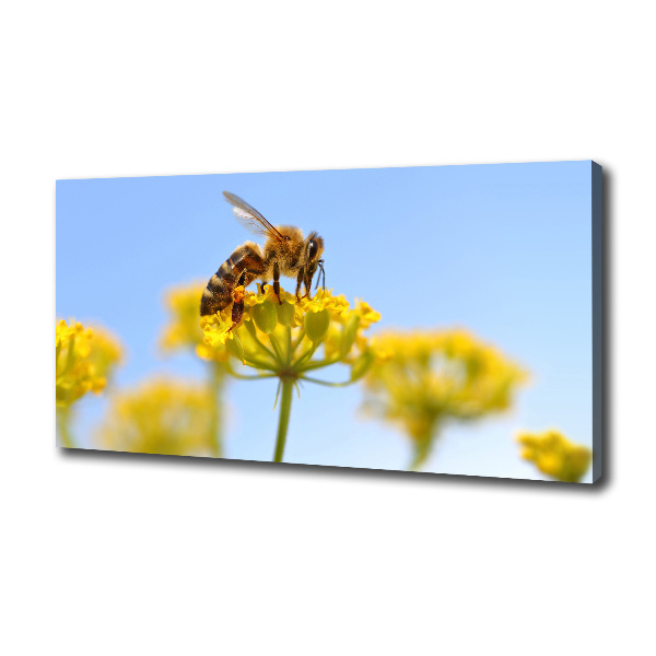Cuadro canvas moderno de gran formato horizontal Una abeja en una flor