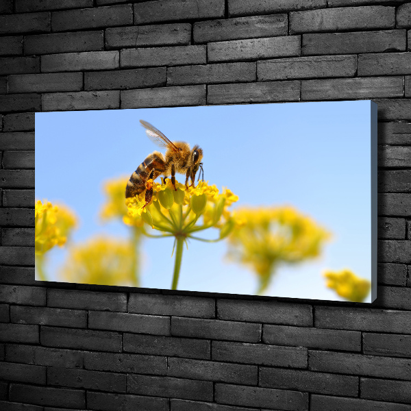 Cuadro canvas moderno de gran formato horizontal Una abeja en una flor