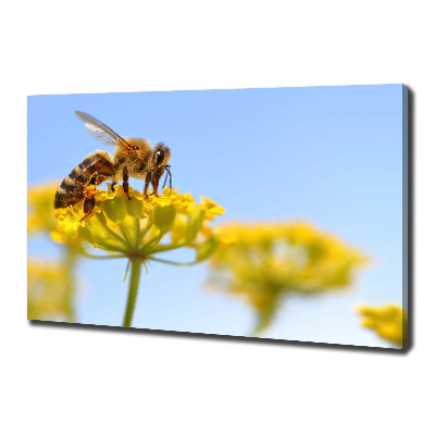Cuadro canvas moderno de gran formato horizontal Una abeja en una flor