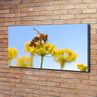 Cuadro canvas moderno de gran formato horizontal Una abeja en una flor