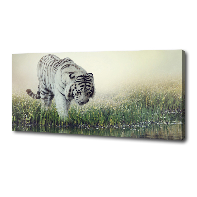 Cuadro canvas con impresión uv duradera horizontal Tigre blanco
