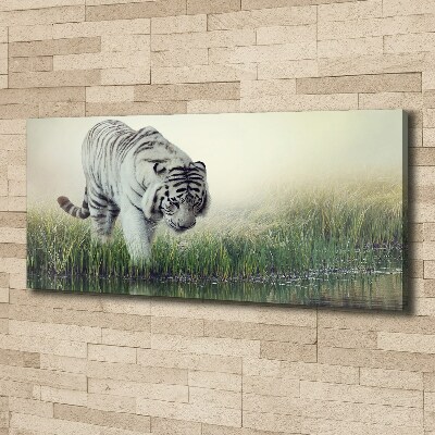 Cuadro canvas con impresión uv duradera horizontal Tigre blanco