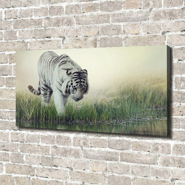 Cuadro canvas con impresión uv duradera horizontal Tigre blanco