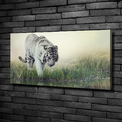 Cuadro canvas con impresión uv duradera horizontal Tigre blanco