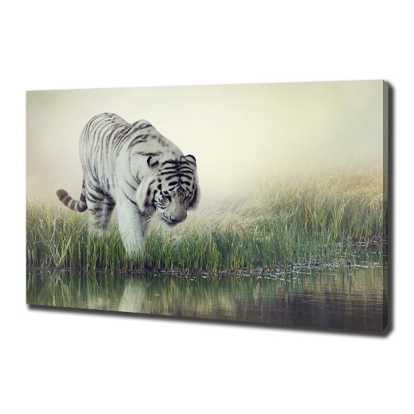 Cuadro canvas con impresión uv duradera horizontal Tigre blanco