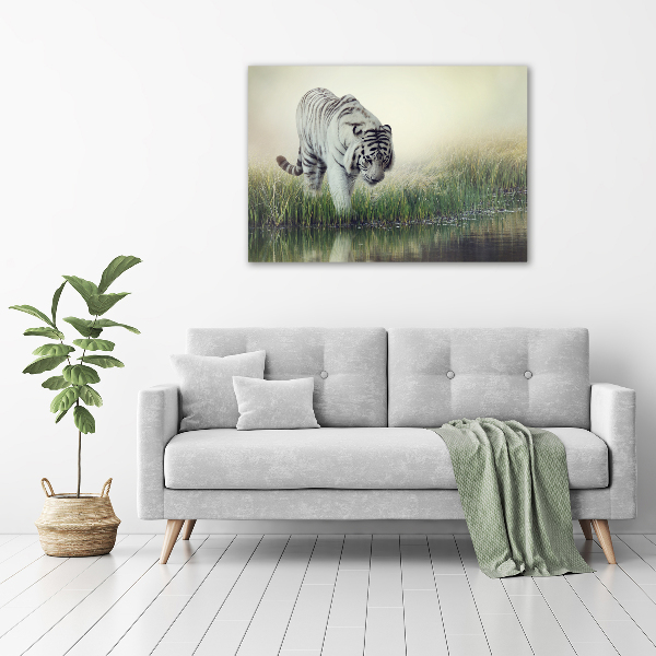 Cuadro canvas con impresión uv duradera horizontal Tigre blanco