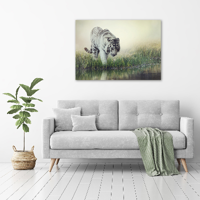 Cuadro canvas con impresión uv duradera horizontal Tigre blanco