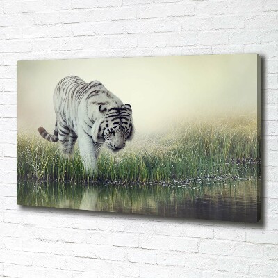 Cuadro canvas con impresión uv duradera horizontal Tigre blanco