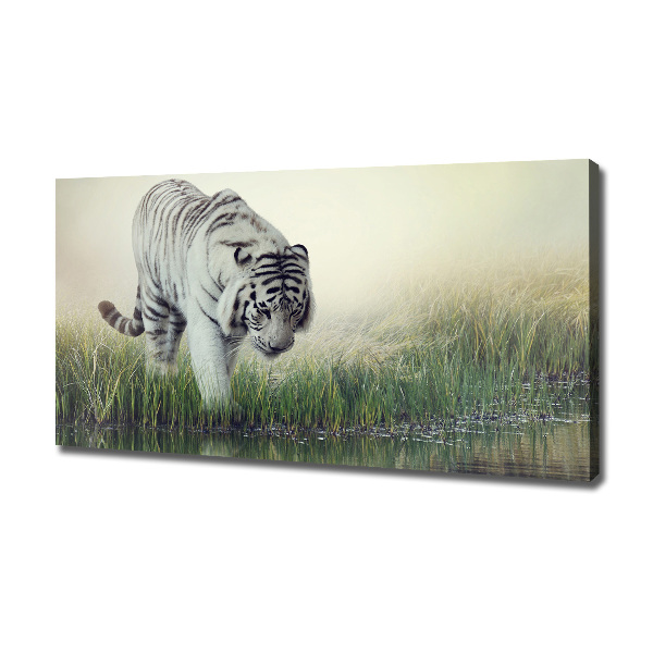 Cuadro canvas con impresión uv duradera horizontal Tigre blanco