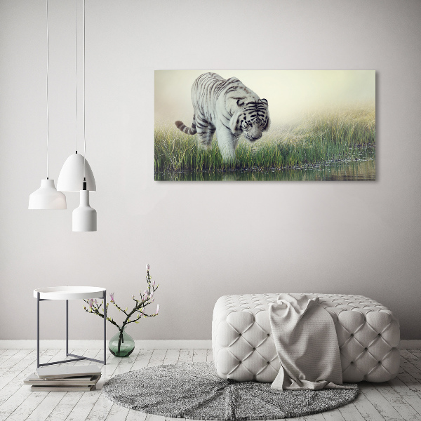 Cuadro canvas con impresión uv duradera horizontal Tigre blanco