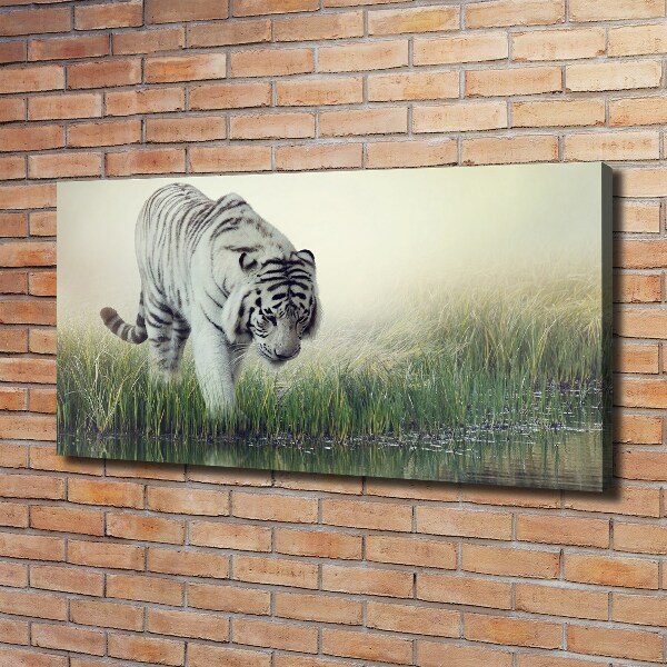 Cuadro canvas con impresión uv duradera horizontal Tigre blanco