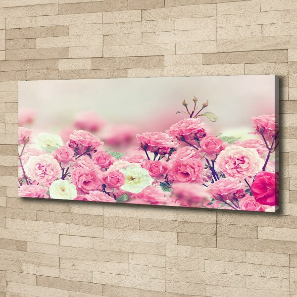 Fotocuadro en lienzo de alta calidad horizontal flores de rosa silvestre