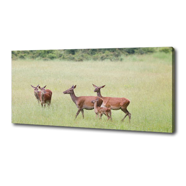 Cuadro canvas moderno de gran formato horizontal Corzo con crías