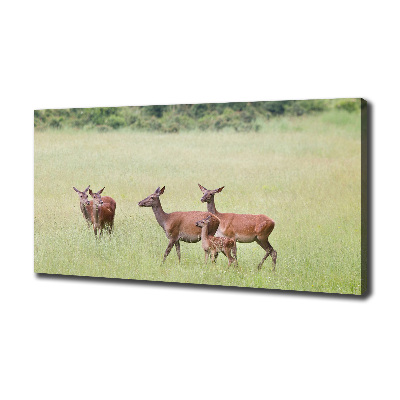 Cuadro canvas moderno de gran formato horizontal Corzo con crías
