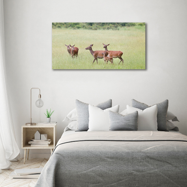 Cuadro canvas moderno de gran formato horizontal Corzo con crías