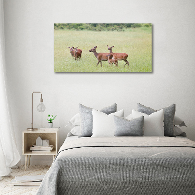 Cuadro canvas moderno de gran formato horizontal Corzo con crías