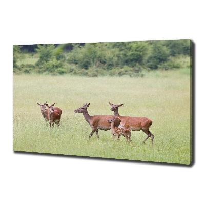 Cuadro canvas moderno de gran formato horizontal Corzo con crías