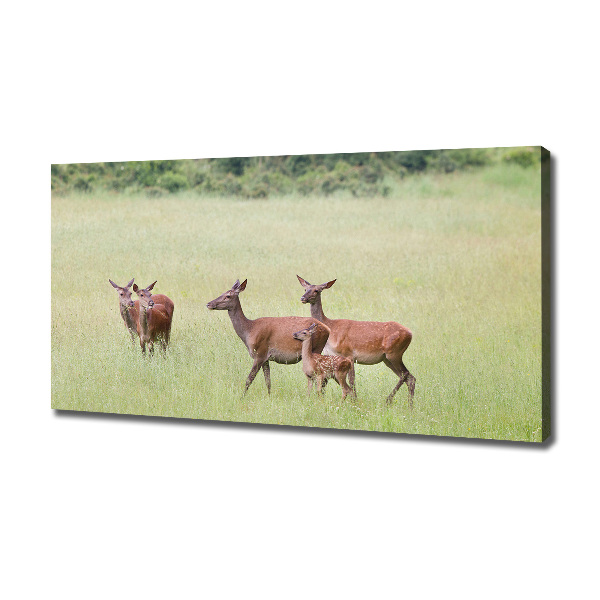 Cuadro canvas moderno de gran formato horizontal Corzo con crías