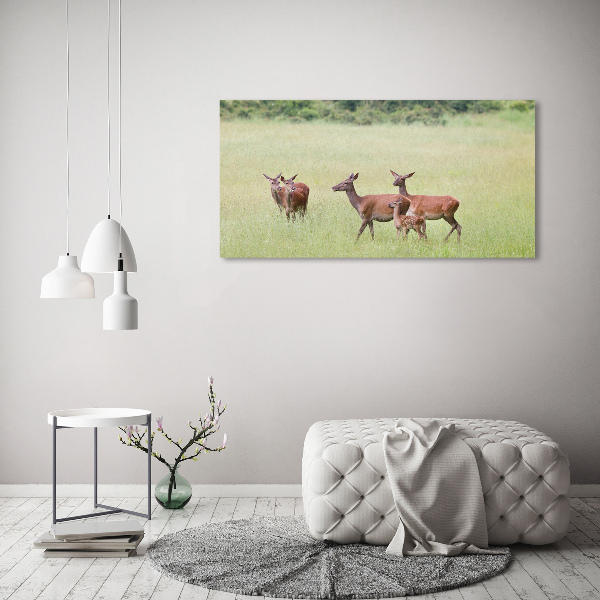 Cuadro canvas moderno de gran formato horizontal Corzo con crías