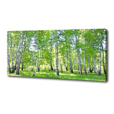 Cuadro canvas con impresión uv duradera horizontal Abedules