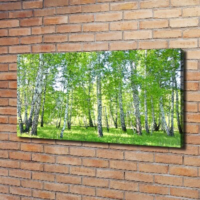 Cuadro canvas con impresión uv duradera horizontal Abedules