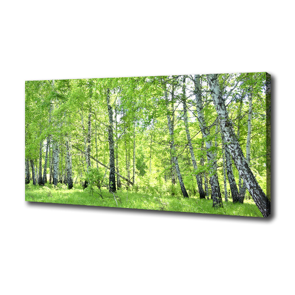 Cuadro canvas moderno de gran formato horizontal bosque de abedules