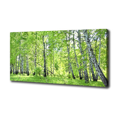 Cuadro canvas moderno de gran formato horizontal bosque de abedules