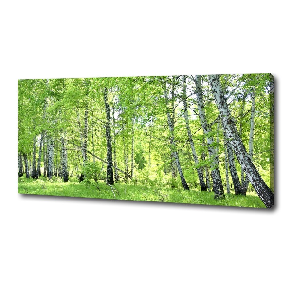 Cuadro canvas moderno de gran formato horizontal bosque de abedules