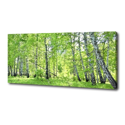 Cuadro canvas moderno de gran formato horizontal bosque de abedules