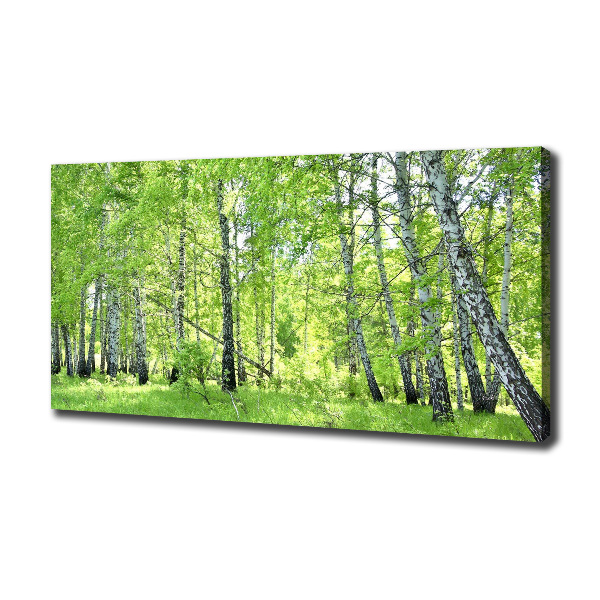 Cuadro canvas moderno de gran formato horizontal bosque de abedules