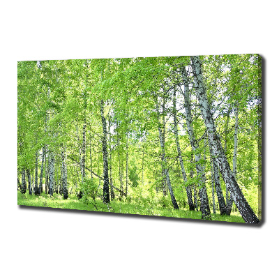 Cuadro canvas moderno de gran formato horizontal bosque de abedules
