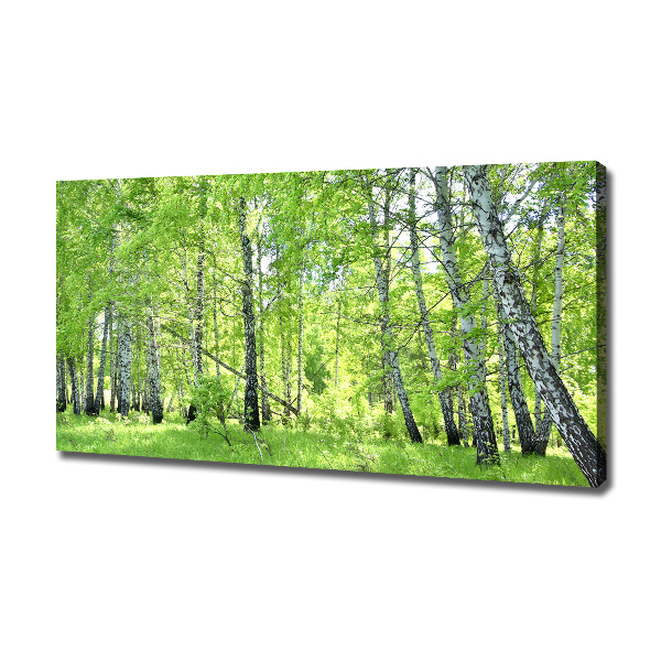 Cuadro canvas moderno de gran formato horizontal bosque de abedules