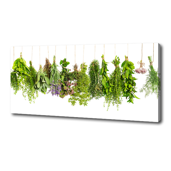 Cuadro canvas moderno de gran formato horizontal Hierbas en una cuerda