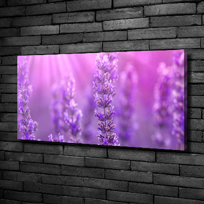 Foto en lienzo con acabado profesional horizontal Lavanda